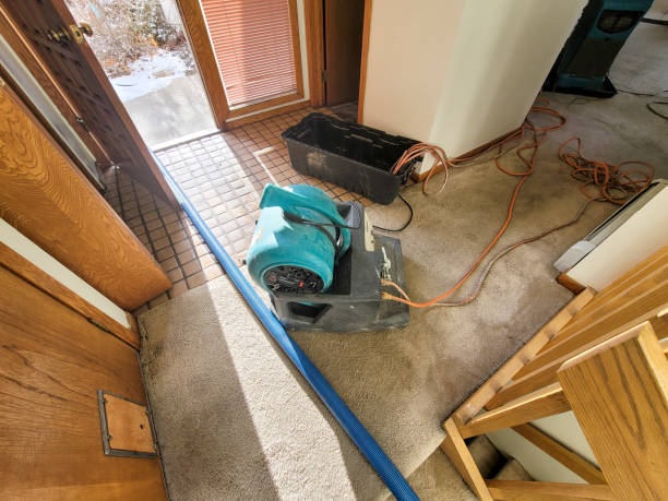 Best Emergency water extraction  in Norton, OH