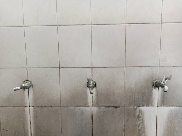 Best Water damage restoration near me  in Norton, OH